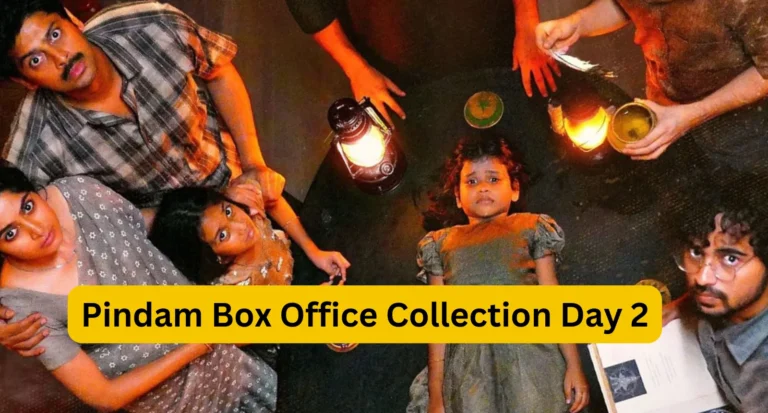 Pindam Box Office Collection Day 2