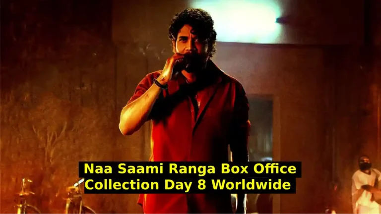 Naa Saami Ranga Box Office Collection Day 8 Worldwide Total & Budget